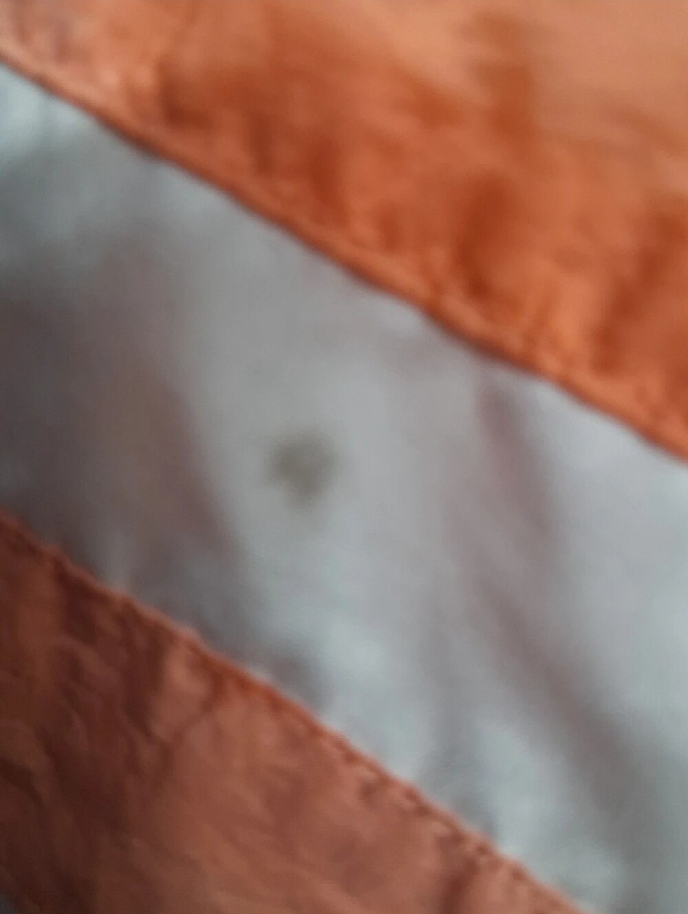 Addidas Shorts - Picture 3 of 4